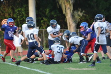 Enlarge photo 292