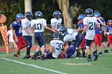 Enlarge photo 293