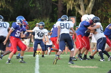 Enlarge photo 299