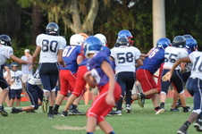 Enlarge photo 302