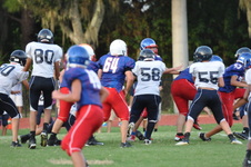 Enlarge photo 303