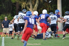 Enlarge photo 304