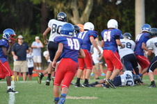 Enlarge photo 305