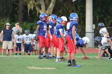 Enlarge photo 306