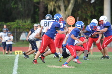 Enlarge photo 307