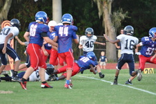 Enlarge photo 310