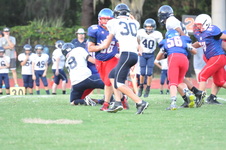 Enlarge photo 315
