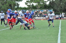 Enlarge photo 353