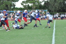 Enlarge photo 355
