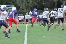 Enlarge photo 356