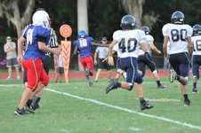 Enlarge photo 359