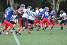Enlarge photo 374