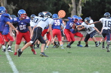 Enlarge photo 375
