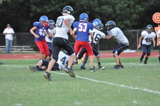 Enlarge photo 379