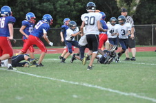 Enlarge photo 382