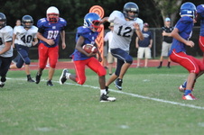 Enlarge photo 393