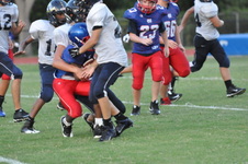 Enlarge photo 399