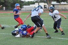 Enlarge photo 433