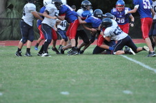 Enlarge photo 442