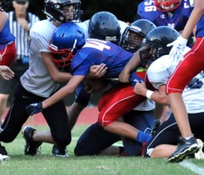 Enlarge photo 443