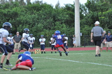 Enlarge photo 453