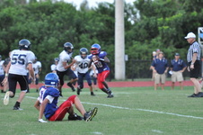 Enlarge photo 455