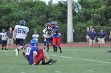 Enlarge photo 456