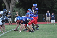 Enlarge photo 459