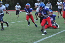 Enlarge photo 469