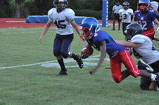 Enlarge photo 470
