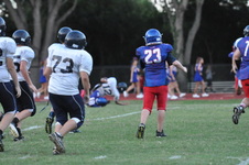 Enlarge photo 473