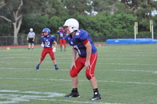 Enlarge photo 478