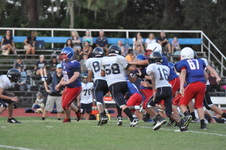 Enlarge photo 491