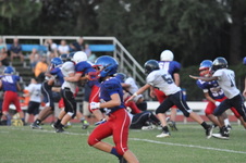 Enlarge photo 496