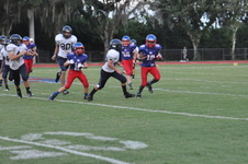 Enlarge photo 509