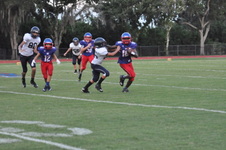 Enlarge photo 510