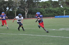 Enlarge photo 513