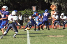 Enlarge photo 44