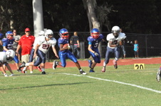Enlarge photo 48