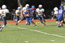 Enlarge photo 50