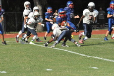 Enlarge photo 51