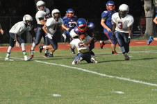 Enlarge photo 52