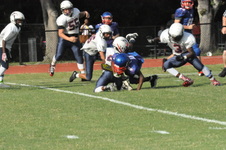 Enlarge photo 53