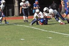 Enlarge photo 54