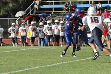 Enlarge photo 62