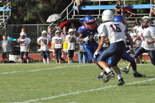 Enlarge photo 63
