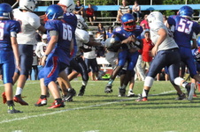 Enlarge photo 64