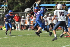 Enlarge photo 68