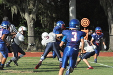 Enlarge photo 78