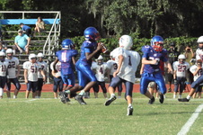 Enlarge photo 84